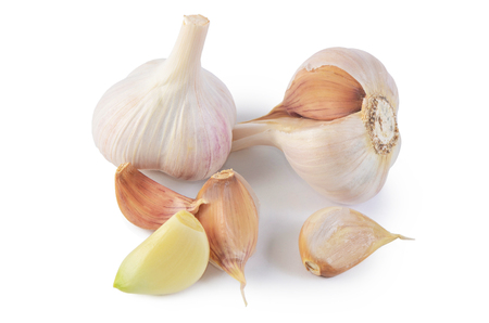 Fresh garlic closeup isolated on a white backgroundの写真素材