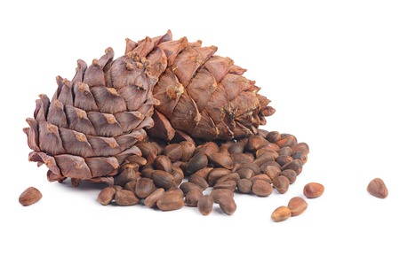 Cedar cone close-up isolated on white backgroundの写真素材