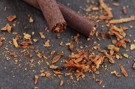 Close-up of Tobacco Cigarettes Background or textureの写真素材