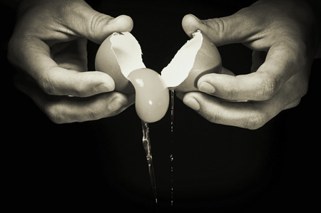 female hands breaking a raw eggの写真素材