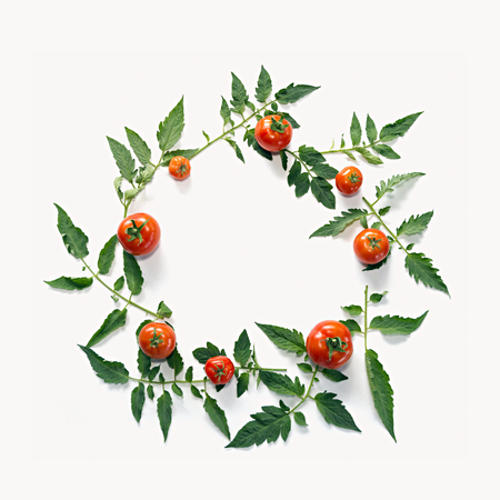 Template for your design. Composition of tomatos and leaves. The concept of  organic food, healthy eating and a healthy lifestyle.の写真素材