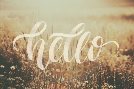 Composite image with overlaid hand drawn lettering. Word Hello on soft, blurred background in golden tones with flowers and grass photographed against backlight. Inspirational  poster for your designの写真素材