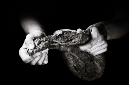 A loaf of freshly baked bread in the hands of a baker on a black background.の写真素材