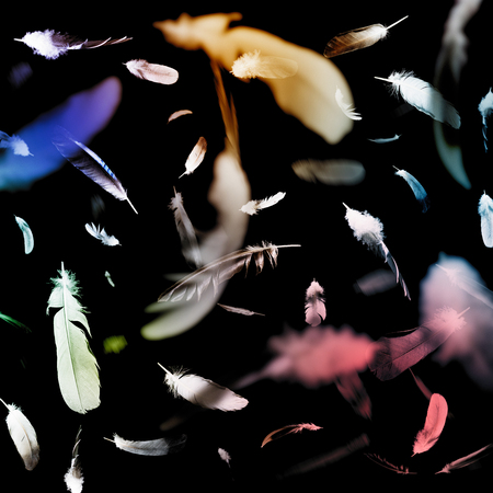 Abstract pattern of falling feathers on a black background.の写真素材