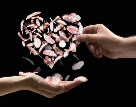 The male hand gives the woman the heart be made of bird feathers on black isolated background....