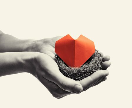 Bird nest with red heart in woman hands. Image on isolated toned background. Concept of love,  marital bliss. Black and white image.の写真素材