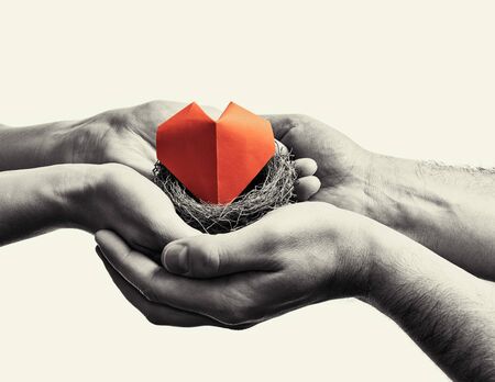 Bird nest with red heart in woman and man hands. Image on isolated toned background. Concept of love, marital bliss. Black and white image.の写真素材