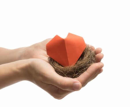 Bird nest with red heart in woman hand. Image on white isolated background. Concept of love, marital bliss. Image.の写真素材