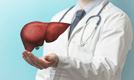 Image of a doctor in a white coat and liver above his hands. Concept of healthy liver and donation.