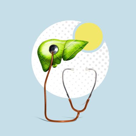 The concept of a healthy and clean liver. art collage.の写真素材