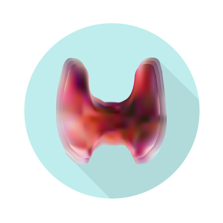 vector illustration of diagram of thyroid gland. EPS 10のイラスト素材