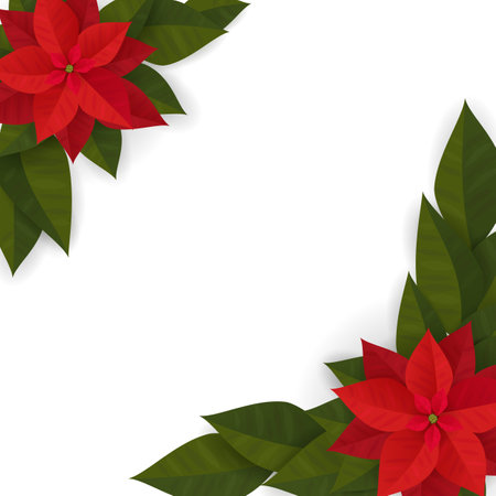Vector illustration of a frame with a Christmas poinsettia plant.のイラスト素材