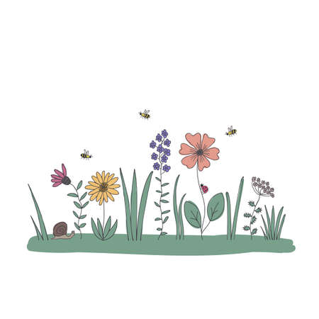 Draw weeds, grasses, flowers and insects. Vector illustration of a doodleのイラスト素材