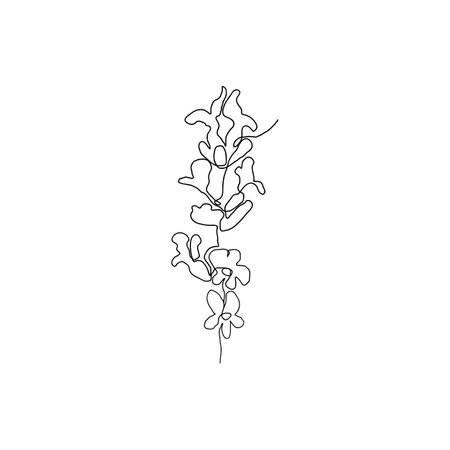 Abstract flower drawn by hand in a continuous line. Minimalist style.のイラスト素材