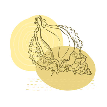 Hand-drawn seashell spiral with a texture of many dots.のイラスト素材