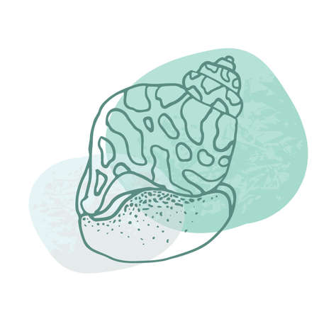 Hand-drawn seashell spiral with a texture of many dots.のイラスト素材