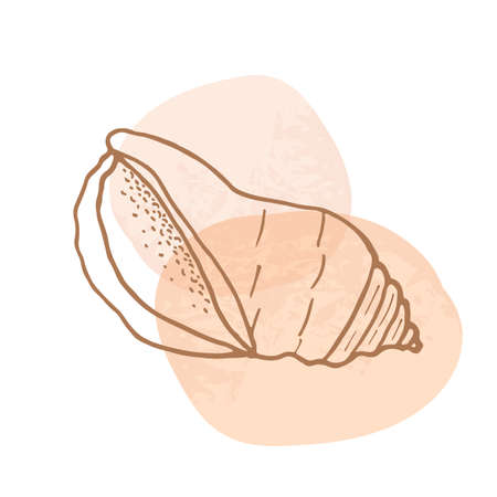 Hand-drawn seashell spiral with a texture of many dots.のイラスト素材