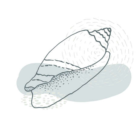 Hand-drawn seashell spiral with a texture of many dots.のイラスト素材