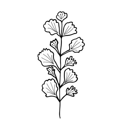 Hand drawn flower and branches doodle. Vector illustrationのイラスト素材