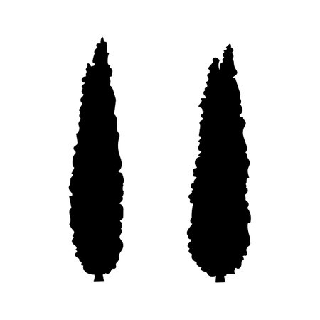 The black silhouette of the trees is thuja.のイラスト素材