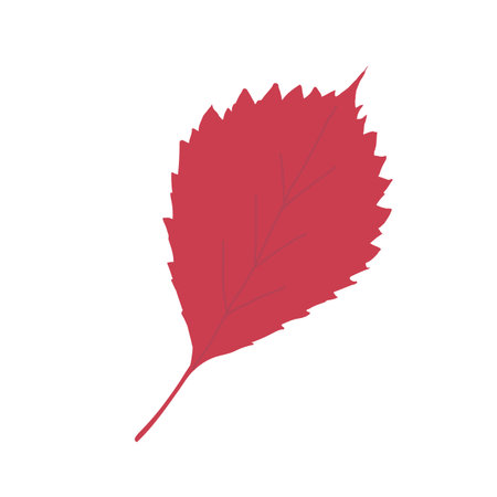Wild grapes leaf outline vector icon.のイラスト素材