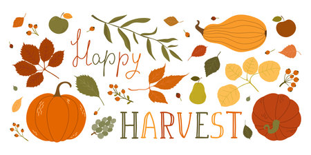 Hand-Drawn Bright Card. Festive Design for Thanksgiving.のイラスト素材