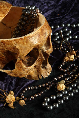 Skull of the person on a black backgroundの写真素材