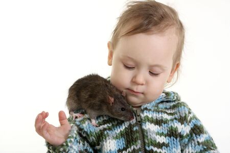 The little girl plays with the big grey ratの写真素材