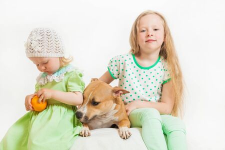 two little girls and dog on the isolated backgroundの写真素材