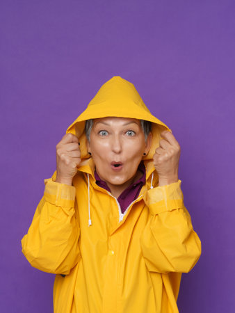 Excited of a rain holding yellow water proof rubbered raincoat hood mature gray haired woman isolated on purple background. Showing love senior woman in raincoat.の写真素材