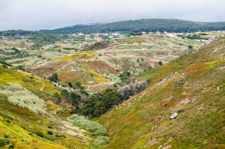 Beautiful mountain hills with green vegetation in a foggy, cloudy day