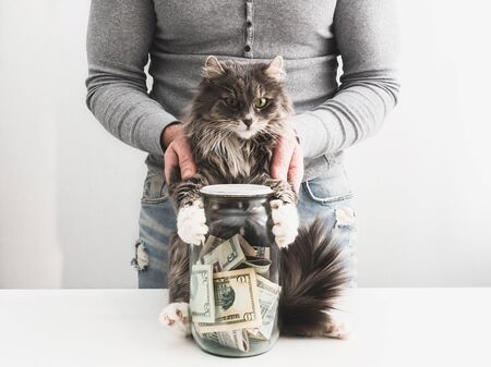 Man with a piggy bank in the form of a jar with money inside and a cute catの写真素材