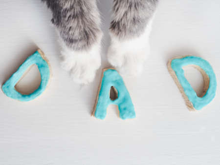 Lovely cat's paws and the word DAD on a white, isolated background. Congratulation for the father. Preparation for Father's Dayの写真素材