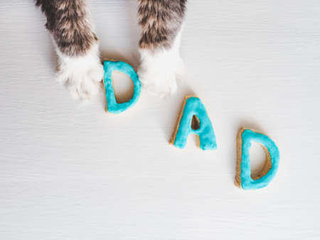 Lovely cat's paws and the word DAD on a white, isolated background. Congratulation for the father. Preparation for Father's Dayの写真素材
