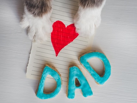 Lovely cat's paws, greeting card with painted, red heart, word DAD on white, isolated background. Congratulation to the father. Preparation for Father's Dayの写真素材