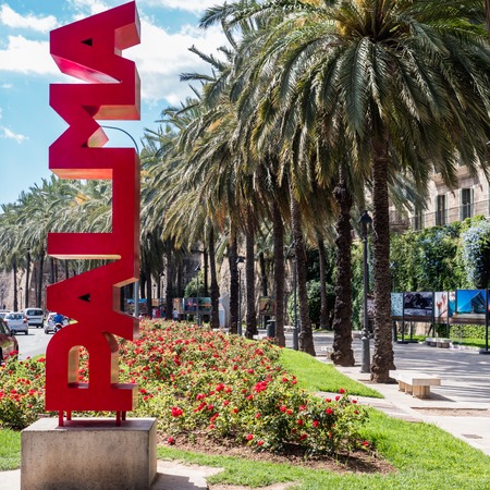 Word PALMA, made of red letters, against the backdrop of palm trees, highway and blue skyの写真素材