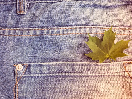 Maple leaves on a background of blue, stylish jeansの写真素材