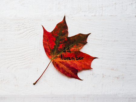Beautiful greeting card on Veterans Day. Top view, close-up, isolated background