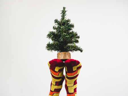 Bright, funny socks with a beautiful patternの写真素材