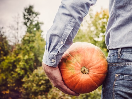 Stylish man holding a ripe, yellow pumpkinの写真素材