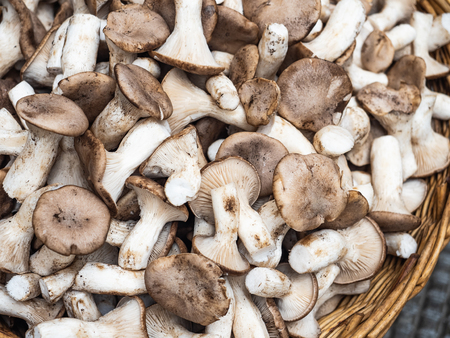 Autumn mushrooms in a wicker, wooden basket. Top view, close-up. Healthy food conceptの写真素材