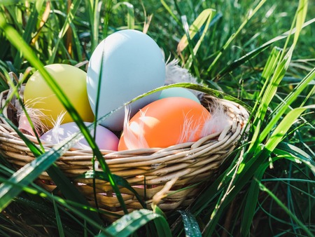 Basket with colorful Easter eggs standing on the green grass against the bright rays of the spring...