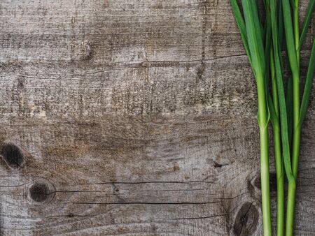 Beautiful, bright garlic stalks on unpainted desk. Place for your inscription. Top view, close-up. Concept of delicious and healthy foodの写真素材