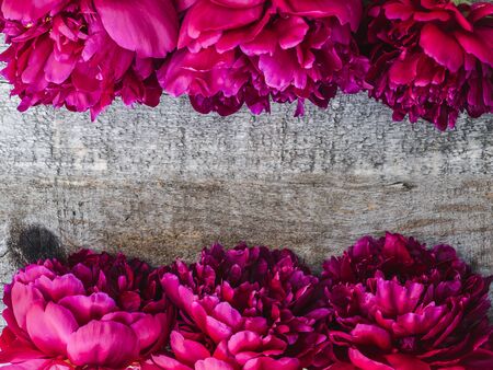 Beautiful bouquet of blooming peonies lying on unpainted, frayed boards. Place for your inscription. Top view, close-up. Greetings from loved ones, family, friends and colleaguesの写真素材