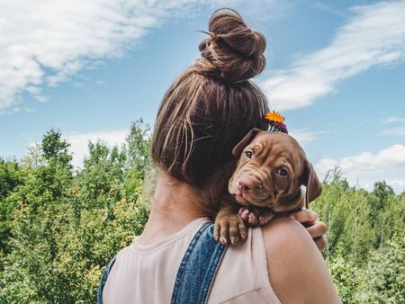 Cute, charming puppy, lying on the shoulder of a woman against a background of green trees, blue sky and clouds on a clear summer day. Close-up. Pet care conceptの写真素材
