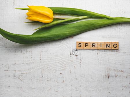 Beautiful greeting card with the word SPRINGの写真素材