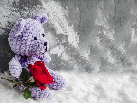 Bright plush toy and blooming red roseの写真素材