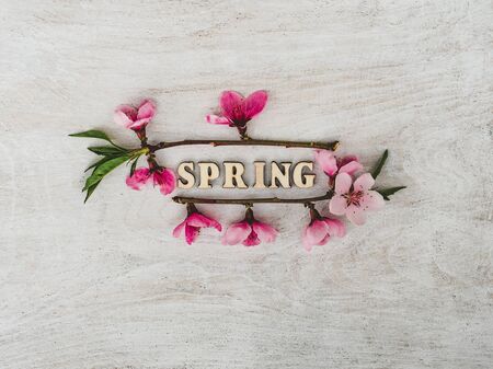 Beautiful, bright flowers lying on a white, wooden table. View from above, close-up