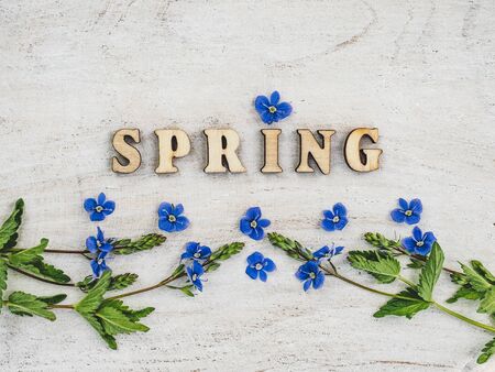 Beautiful, bright wildflowers lying on a white, wooden table. View from above, close-upの写真素材