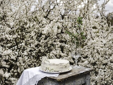 Flowering tree and fresh, homemade cake. Close-up, view from above, outdoors